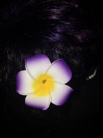 Load image into Gallery viewer, Hawaiian Flower Hair Clip
